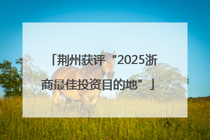 荆州获评“2025浙商最佳投资目的地”
