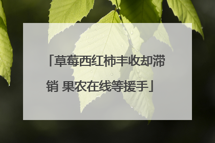 草莓西红柿丰收却滞销 果农在线等援手