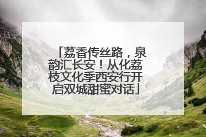荔香传丝路，泉韵汇长安！从化荔枝文化季西安行开启双城甜蜜对话