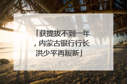 获提拔不到一年，内蒙古银行行长洪少平再履新