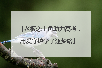 老板恋上鱼助力高考：用爱守护学子逐梦路