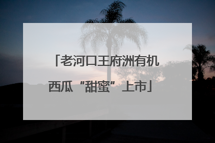 老河口王府洲有机西瓜“甜蜜”上市