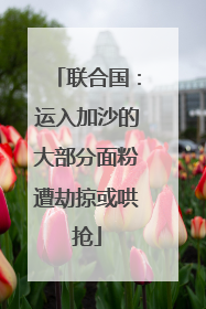 联合国：运入加沙的大部分面粉遭劫掠或哄抢