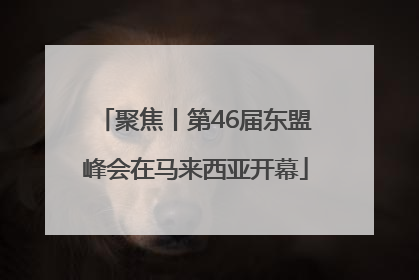 聚焦丨第46届东盟峰会在马来西亚开幕