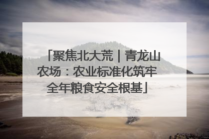 聚焦北大荒｜青龙山农场：农业标准化筑牢全年粮食安全根基