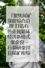 聚焦尾矿深度综合治理 打造有色金属循环经济新模式 张金良一行调研栾川县尾矿库综合治理工作