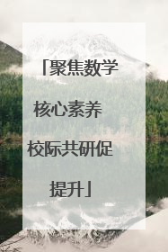 聚焦数学核心素养 校际共研促提升