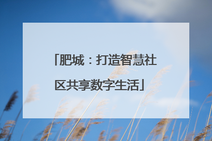 肥城：打造智慧社区共享数字生活