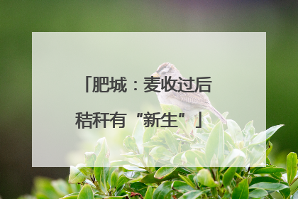 肥城：麦收过后秸秆有“新生”