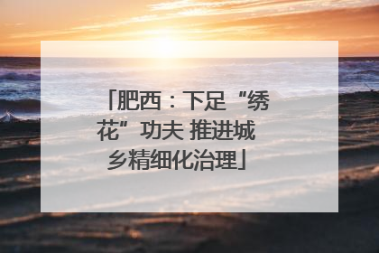 肥西：下足“绣花”功夫 推进城乡精细化治理