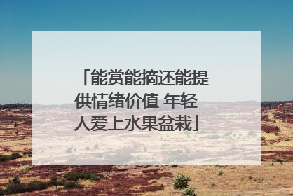 能赏能摘还能提供情绪价值 年轻人爱上水果盆栽