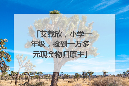 艾载欣，小学一年级，捡到一万多元现金物归原主