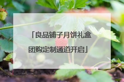 良品铺子月饼礼盒团购定制通道开启