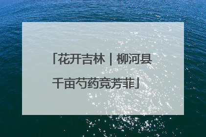 花开吉林｜柳河县千亩芍药竞芳菲