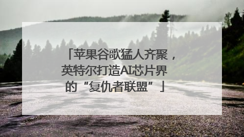 苹果谷歌猛人齐聚，英特尔打造AI芯片界的“复仇者联盟”