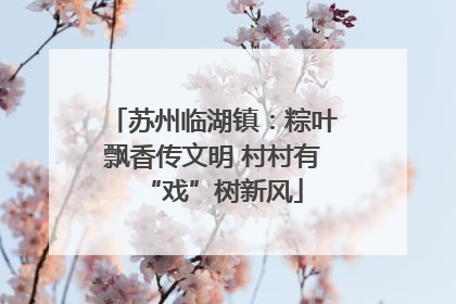 苏州临湖镇：粽叶飘香传文明 村村有“戏”树新风