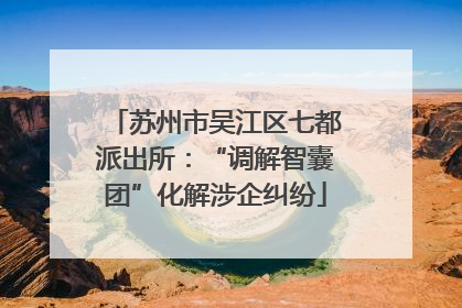 苏州市吴江区七都派出所：“调解智囊团”化解涉企纠纷