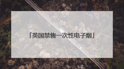英国禁售一次性电子烟