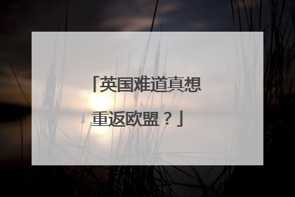 英国难道真想重返欧盟？