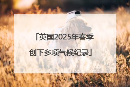 英国2025年春季创下多项气候纪录