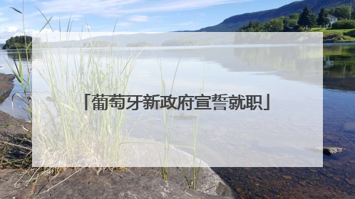 葡萄牙新政府宣誓就职