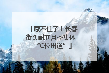 藏不住了！长春街头耐寒月季集体“C位出道”