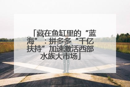 藏在鱼缸里的“蓝海”：拼多多“千亿扶持”加速激活西部水族大市场