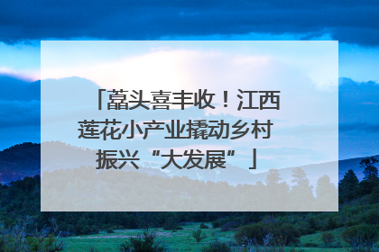 藠头喜丰收！江西莲花小产业撬动乡村振兴“大发展”
