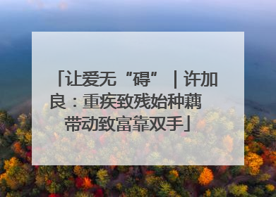 让爱无“碍”｜许加良：重疾致残始种藕 带动致富靠双手