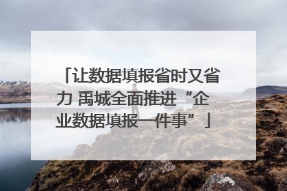 让数据填报省时又省力 禹城全面推进“企业数据填报一件事”