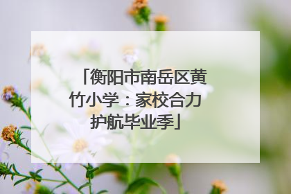 衡阳市南岳区黄竹小学：家校合力护航毕业季