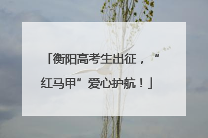 衡阳高考生出征，“红马甲”爱心护航！