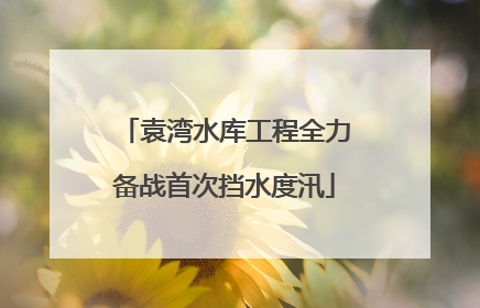 袁湾水库工程全力备战首次挡水度汛
