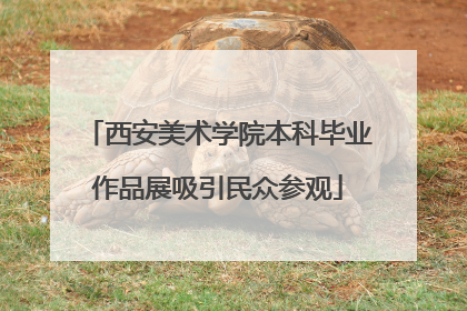 西安美术学院本科毕业作品展吸引民众参观