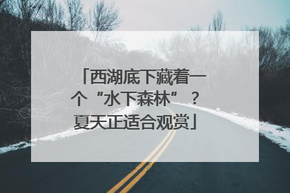 西湖底下藏着一个“水下森林”？夏天正适合观赏