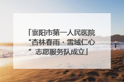 襄阳市第一人民医院“杏林春雨・雪域仁心”志愿服务队成立