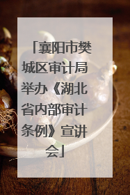 襄阳市樊城区审计局举办《湖北省内部审计条例》宣讲会