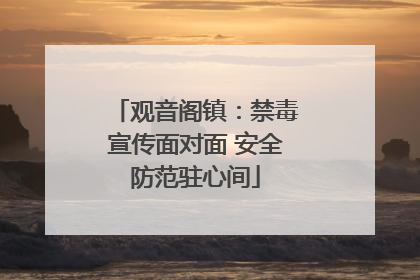 观音阁镇：禁毒宣传面对面 安全防范驻心间
