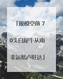 规模空前 70头白犀牛从南非运抵卢旺达