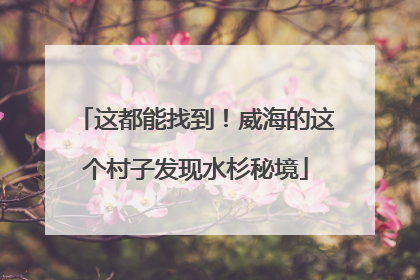 这都能找到！威海的这个村子发现水杉秘境