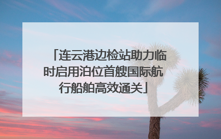 连云港边检站助力临时启用泊位首艘国际航行船舶高效通关