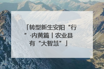 转型新生安阳“行”·内黄篇丨农业县有“大智慧”