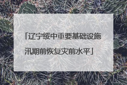 辽宁绥中重要基础设施汛期前恢复灾前水平
