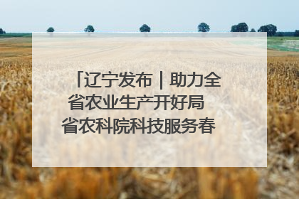 辽宁发布｜助力全省农业生产开好局 省农科院科技服务春耕备耕成效显著