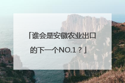 谁会是安徽农业出口的下一个NO.1？