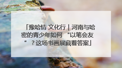 豫哈情 文化行｜河南与哈密的青少年如何 “以笔会友”？这场书画展藏着答案