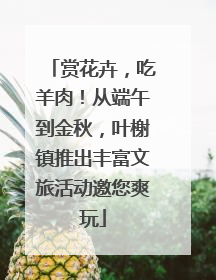 赏花卉，吃羊肉！从端午到金秋，叶榭镇推出丰富文旅活动邀您爽玩