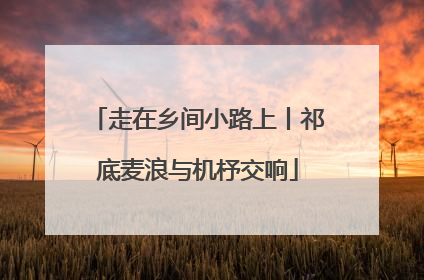 走在乡间小路上丨祁底麦浪与机杼交响