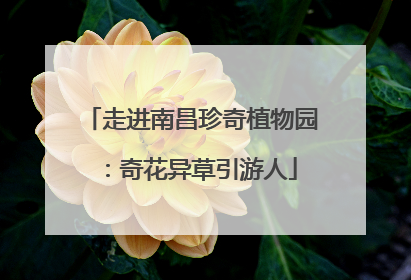 走进南昌珍奇植物园：奇花异草引游人