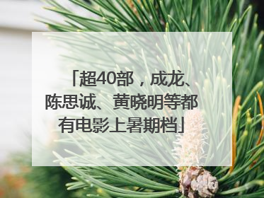 超40部，成龙、陈思诚、黄晓明等都有电影上暑期档
